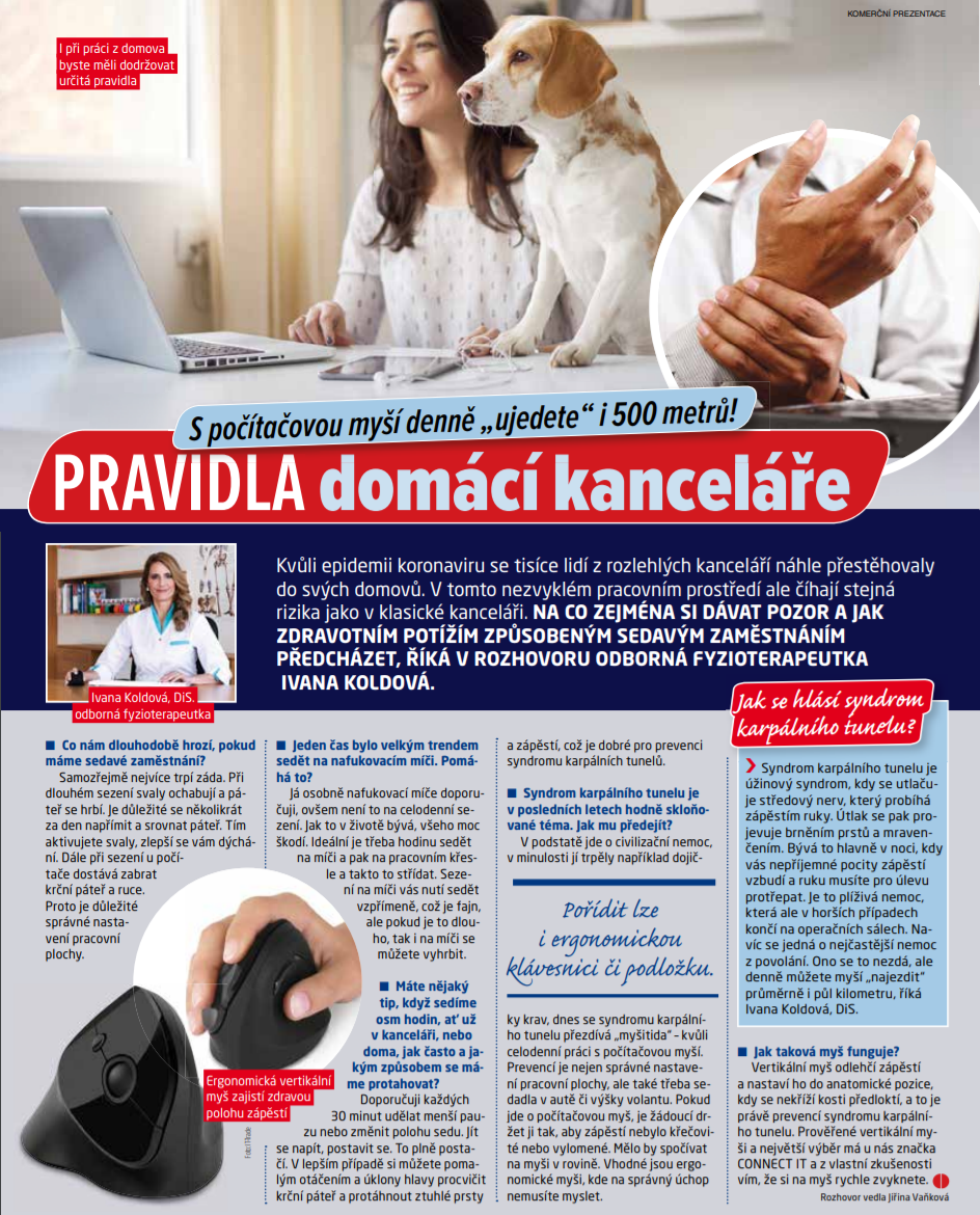 pravidla_domaci_kancelare_blesk-(2).png